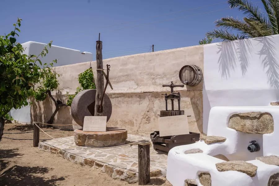 Mykonos vineyard visit