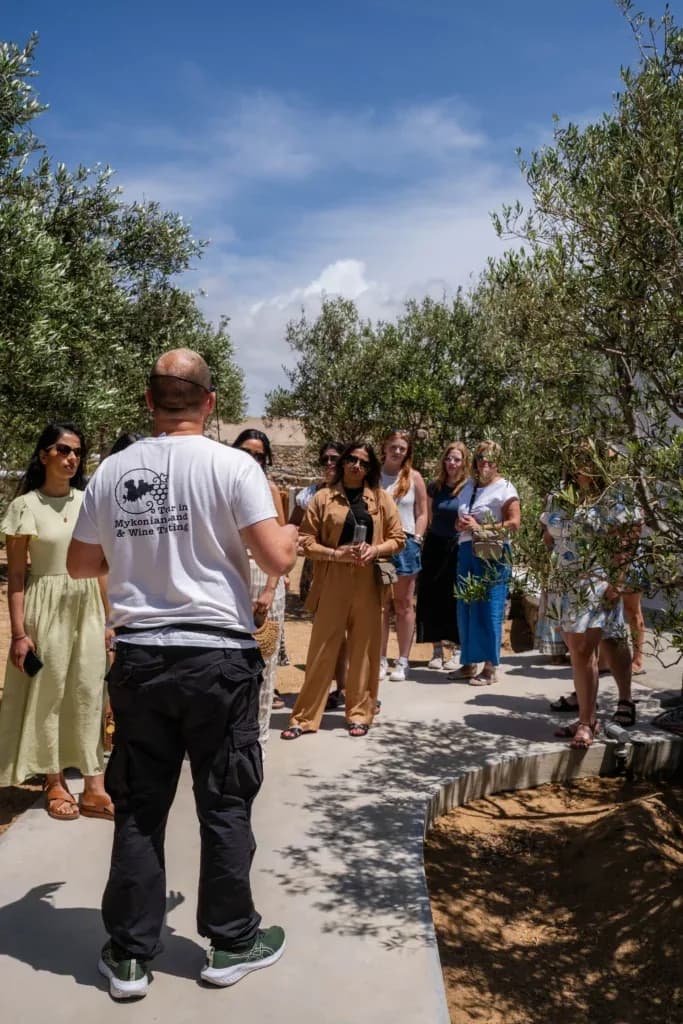 Gruppo guidato nell'uliveto di Mykonos