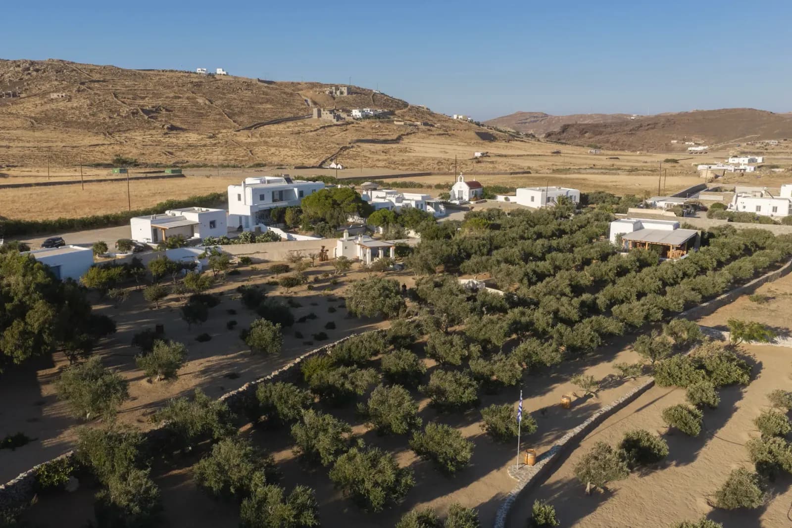 L'uliveto della tenuta dall'alto, Marathi, Mykonos